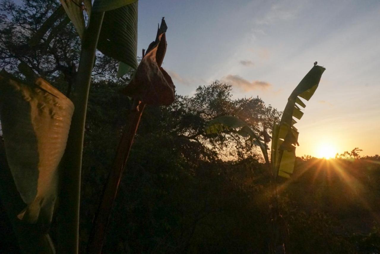 Kibu Kauh Sunrise Cottage Sakti 外观 照片